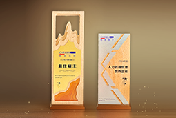PA真人国际国际一举斩获“2024年度中国区最佳雇主”等多项大奖